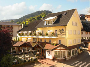 Гостиница Hotel Garni Café Räpple, Бад-Петерсталь-Грисбах